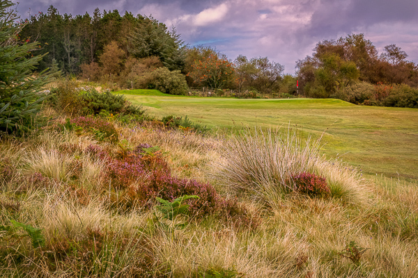 11th_Green_03-2