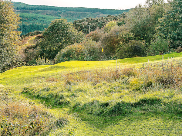 Beside the 3rd Green