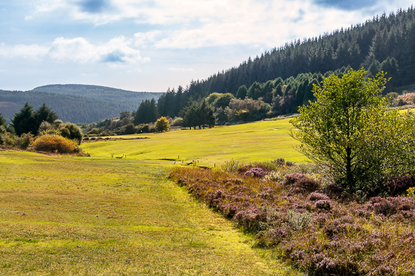The 6th Green and Fairway