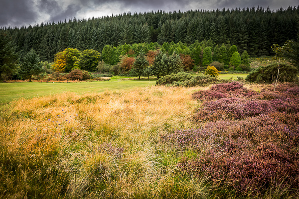 9th_Green_01-2